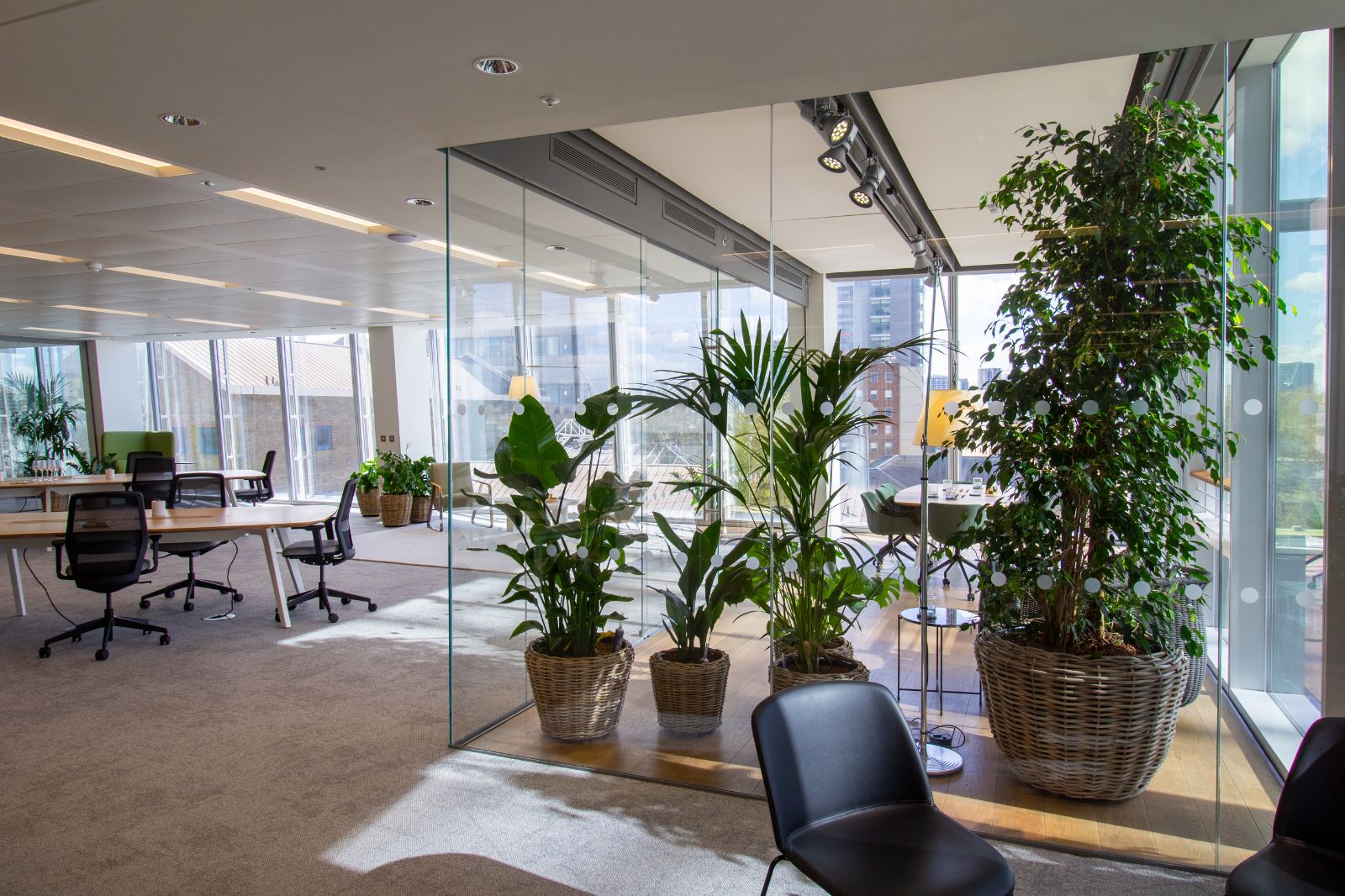 Concept25 full-height glazed workplace partitioning.